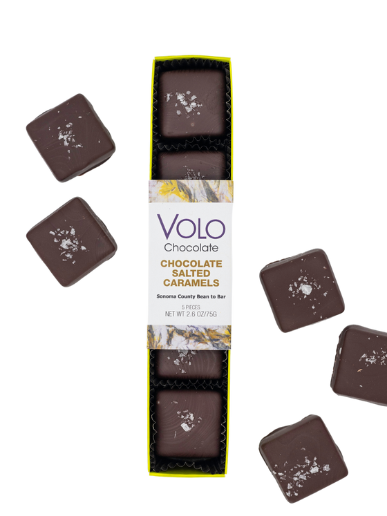 Chocolate Salted Caramels