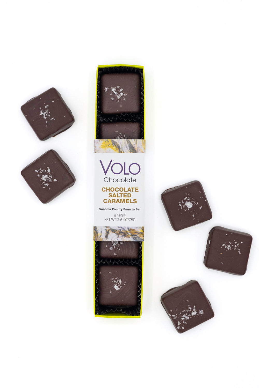 Chocolate Salted Caramels