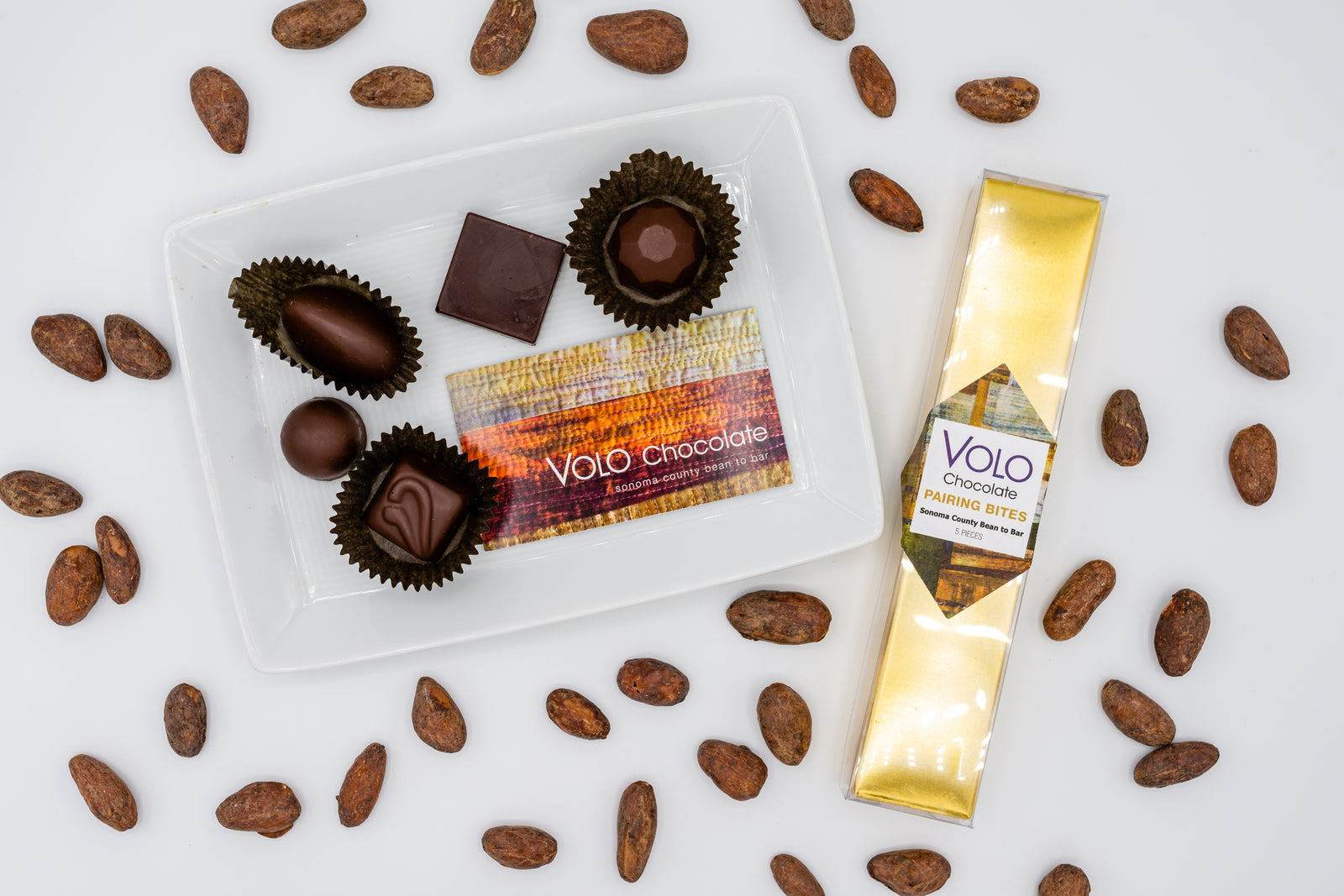 San Francisco Chocolate Salon 2023 Awards Announced